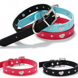 Collar & Lead